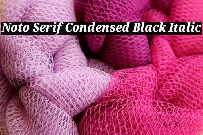 Noto Serif Condensed Black Italic Font examples