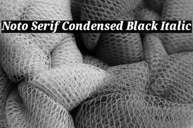 Noto Serif Condensed Black Italic Example 3