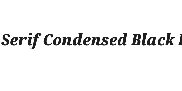 Noto Serif Condensed Black Italic Logo