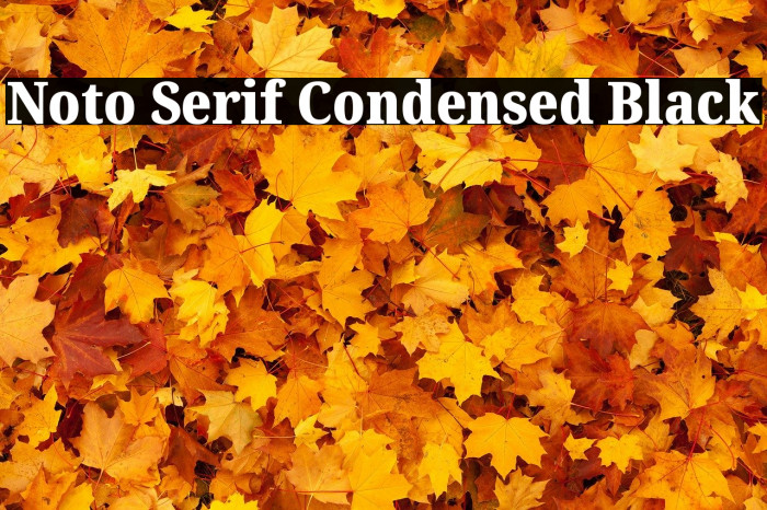 Noto Serif Condensed Black Font examples