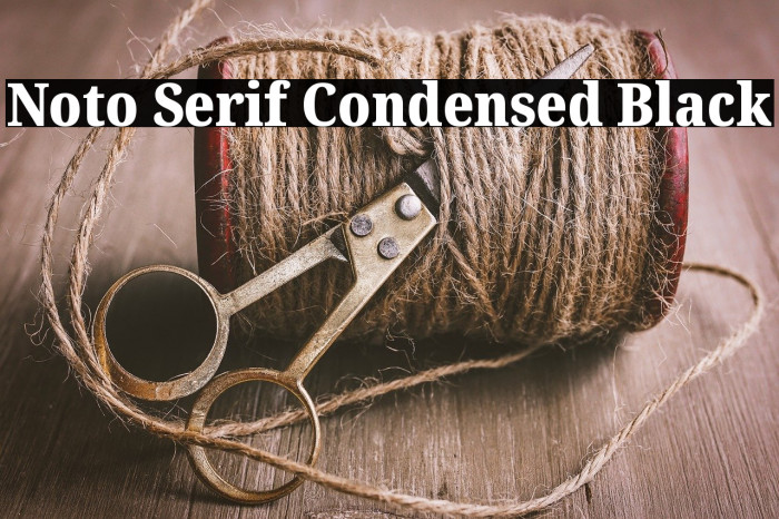 Noto Serif Condensed Black Font examples