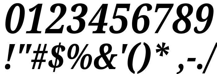 Noto Serif Condensed Bold Italic Font OTHER CHARS
