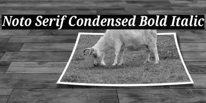Noto Serif Condensed Bold Italic Example 1