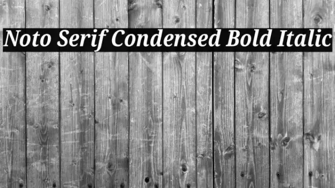 Noto Serif Condensed Bold Italic Example 3
