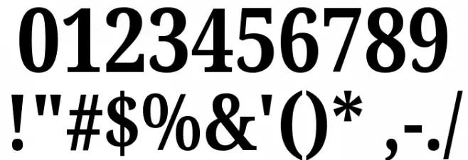Noto Serif Condensed Bold Font OTHER CHARS