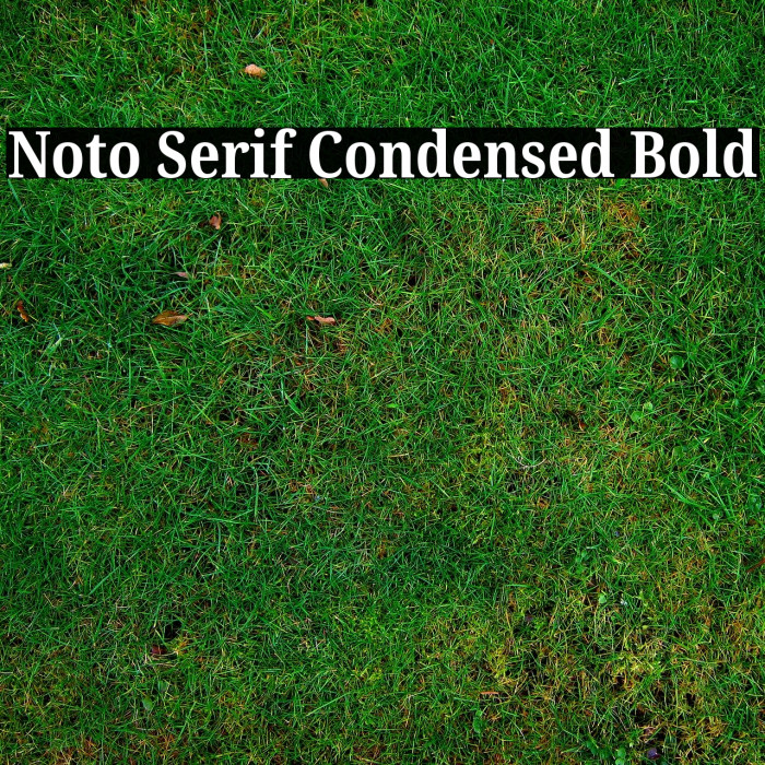 Noto Serif Condensed Bold Font examples