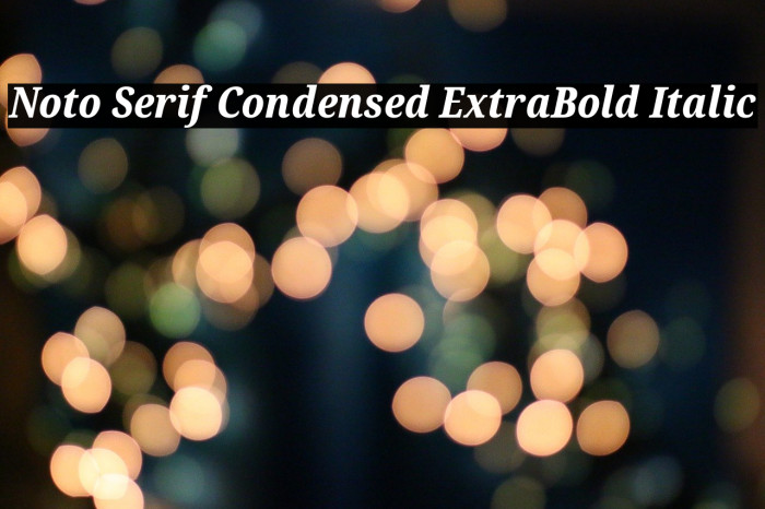 Noto Serif Condensed ExtraBold Italic Font examples