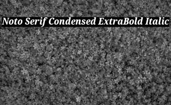 Noto Serif Condensed ExtraBold Italic Example 2