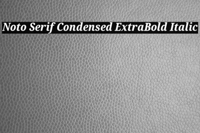 Noto Serif Condensed ExtraBold Italic Example 3