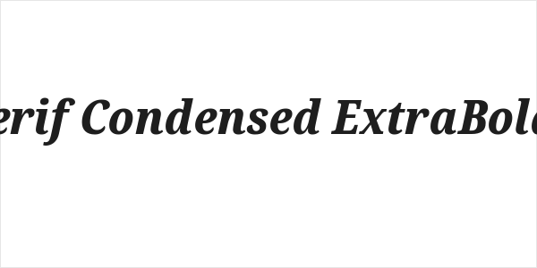 Noto Serif Condensed ExtraBold Italic Logo