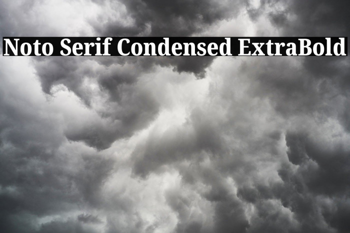 Noto Serif Condensed ExtraBold Font examples