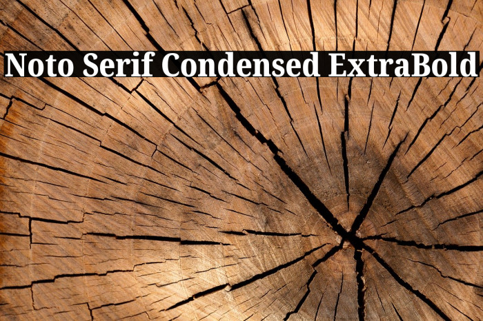 Noto Serif Condensed ExtraBold Font examples