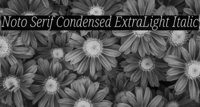 Noto Serif Condensed ExtraLight Italic Example 1