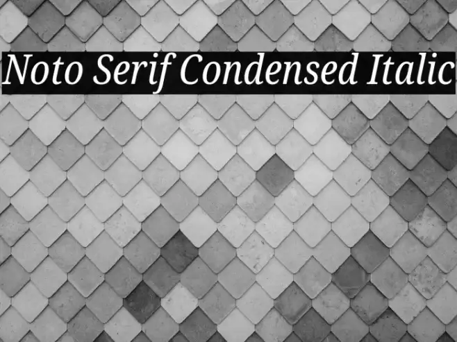 Noto Serif Condensed Italic Example 1