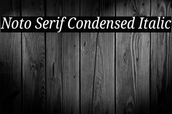 Noto Serif Condensed Italic Example 2