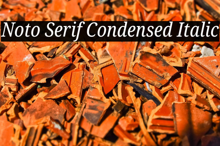 Noto Serif Condensed Italic Font examples