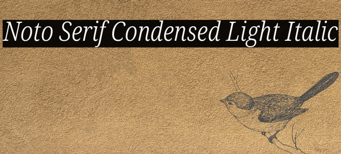 Noto Serif Condensed Light Italic Font examples
