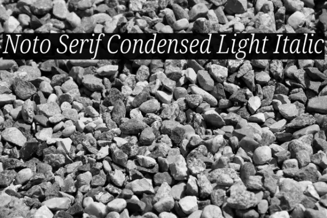 Noto Serif Condensed Light Italic Example 2
