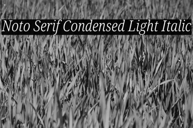 Noto Serif Condensed Light Italic Example 3
