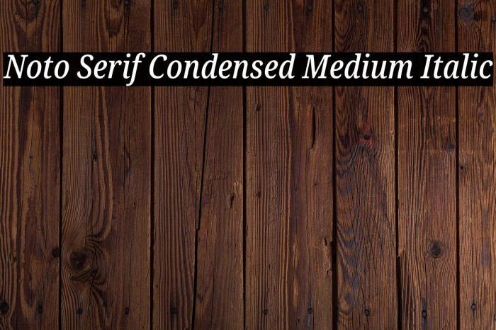 Noto Serif Condensed Medium Italic Font examples