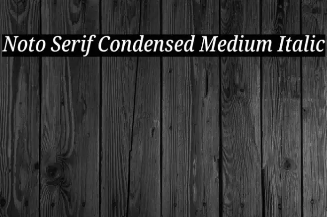Noto Serif Condensed Medium Italic Example 1