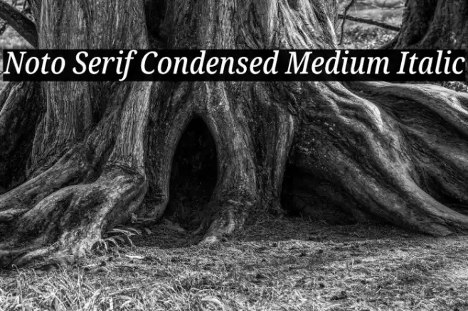 Noto Serif Condensed Medium Italic Example 3
