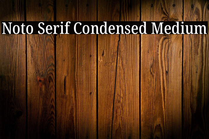 Noto Serif Condensed Medium Font examples