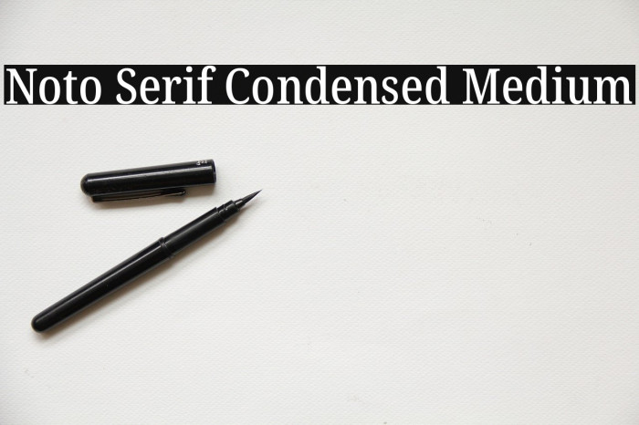 Noto Serif Condensed Medium Font examples