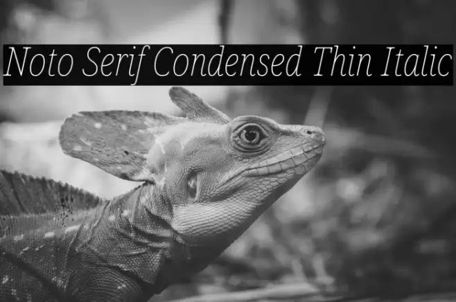 Noto Serif Condensed Thin Italic Font examples