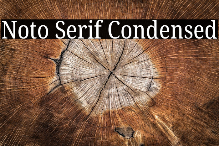 Noto Serif Condensed Font examples