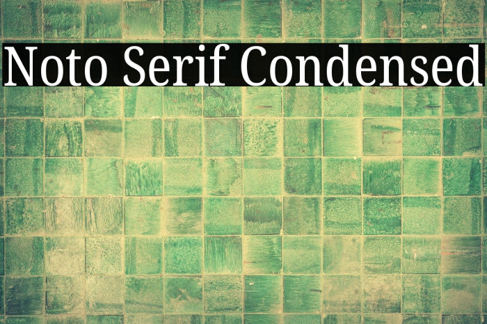 Noto Serif Condensed Font examples