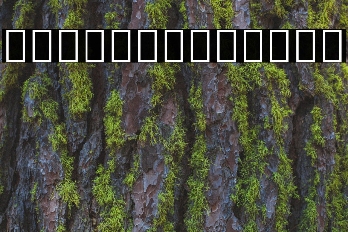 Noto Serif Devanagari Bold Font examples