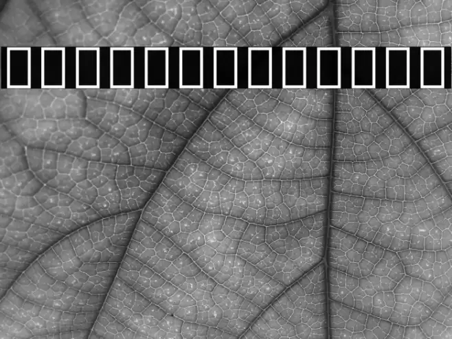 Noto Serif Devanagari Font examples