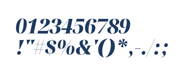 Noto Serif Display Black Italic Other Characters