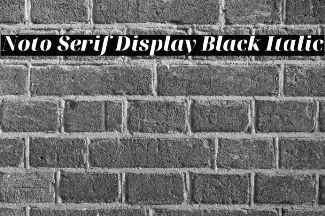Noto Serif Display Black Italic Font examples