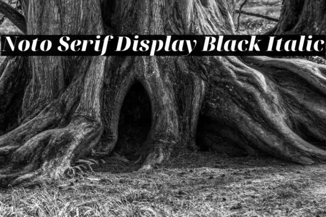 Noto Serif Display Black Italic Font examples