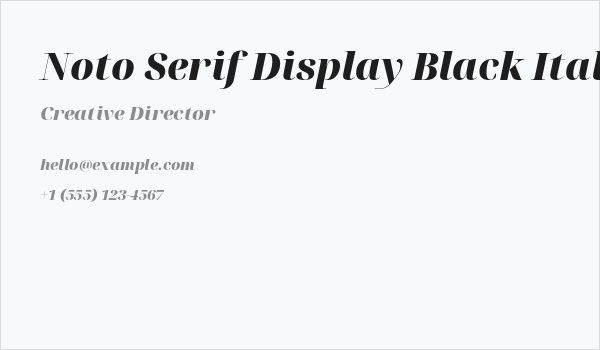 Noto Serif Display Black Italic Business Card