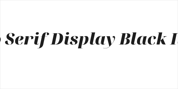 Noto Serif Display Black Italic Logo