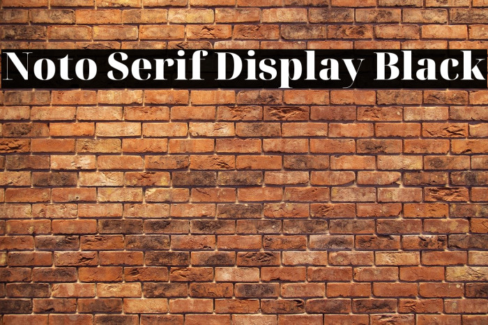 Noto Serif Display Black Font examples