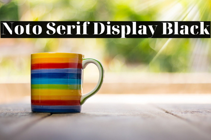 Noto Serif Display Black Font examples