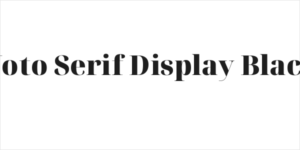 Noto Serif Display Black Logo