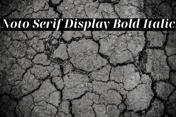 Noto Serif Display Bold Italic Example 1