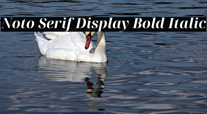 Noto Serif Display Bold Italic Example 2
