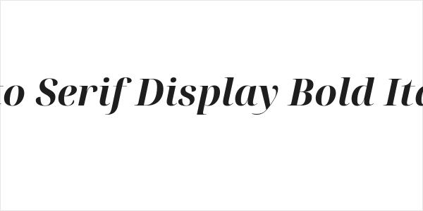 Noto Serif Display Bold Italic Logo