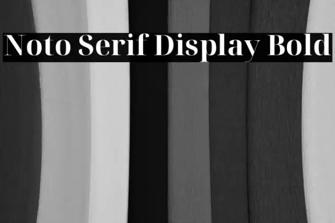 Noto Serif Display Bold Font examples