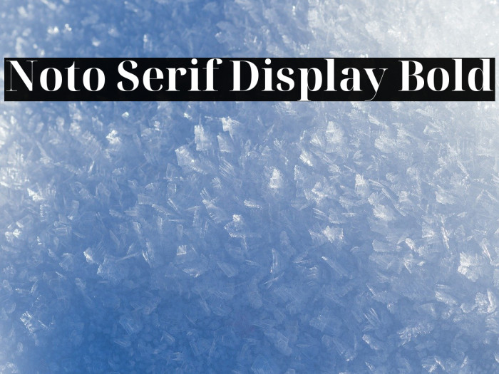 Noto Serif Display Bold Font examples