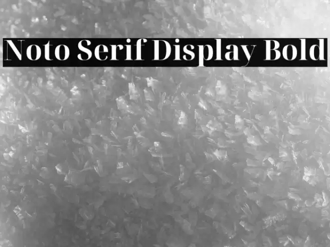 Noto Serif Display Bold Font examples