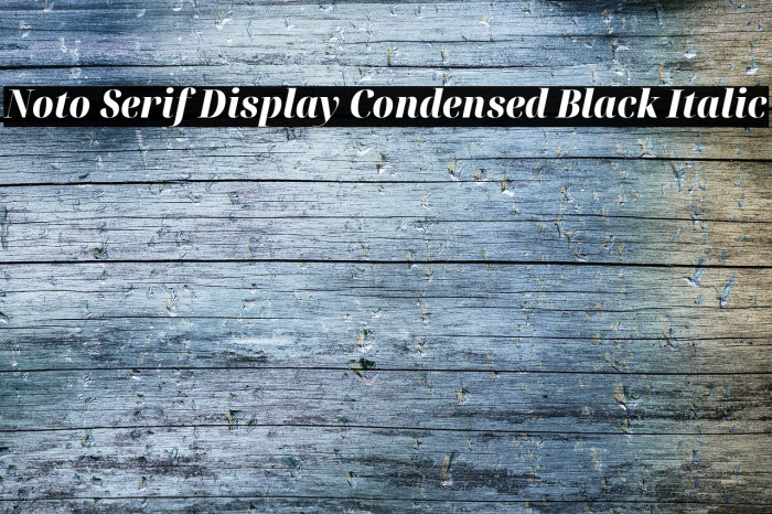 Noto Serif Display Condensed Black Italic Font examples