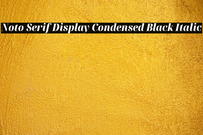 Noto Serif Display Condensed Black Italic Font examples