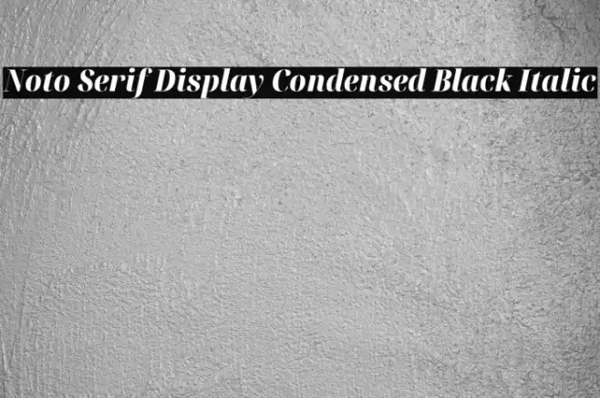 Noto Serif Display Condensed Black Italic Font examples